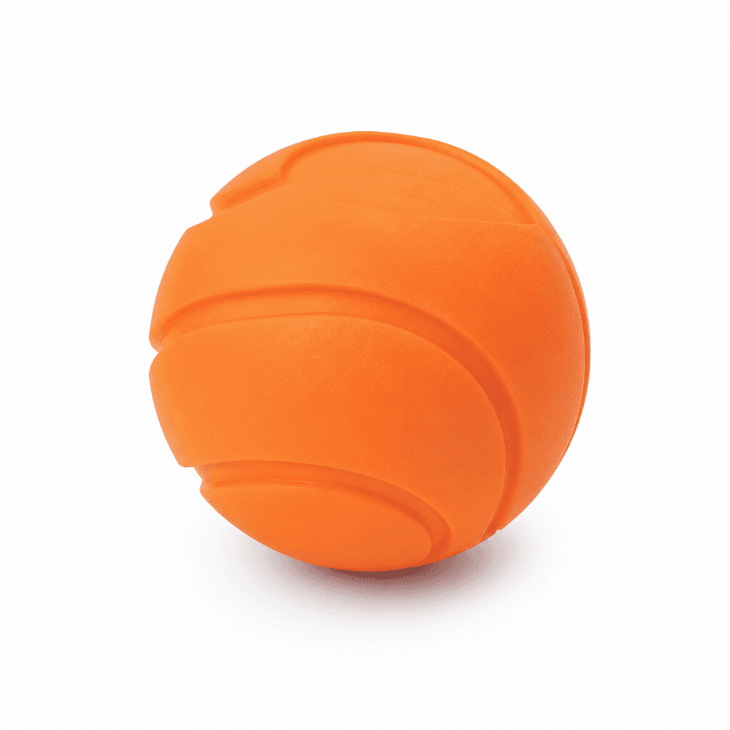 Bounce Fetch Ball