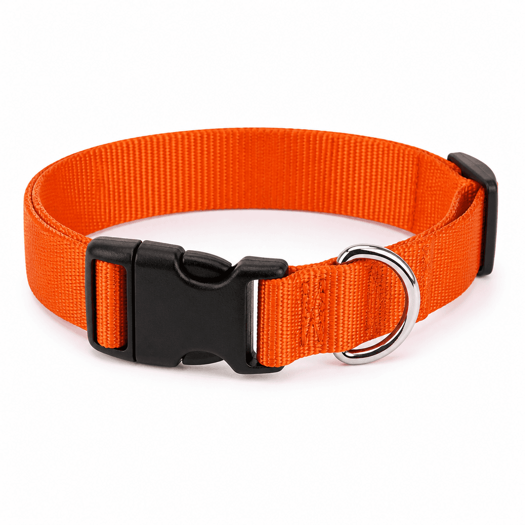 Collars & Leashes