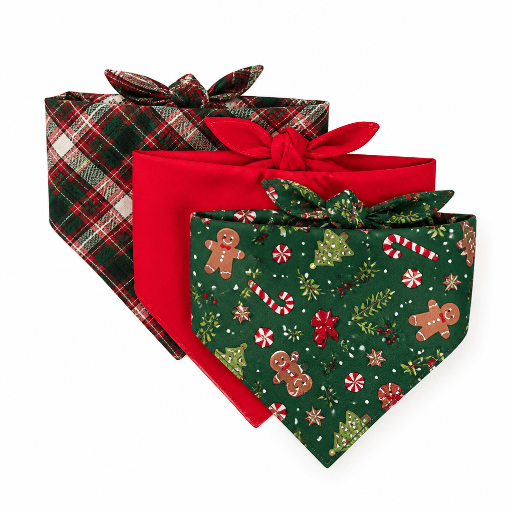 Festive Bandana Set