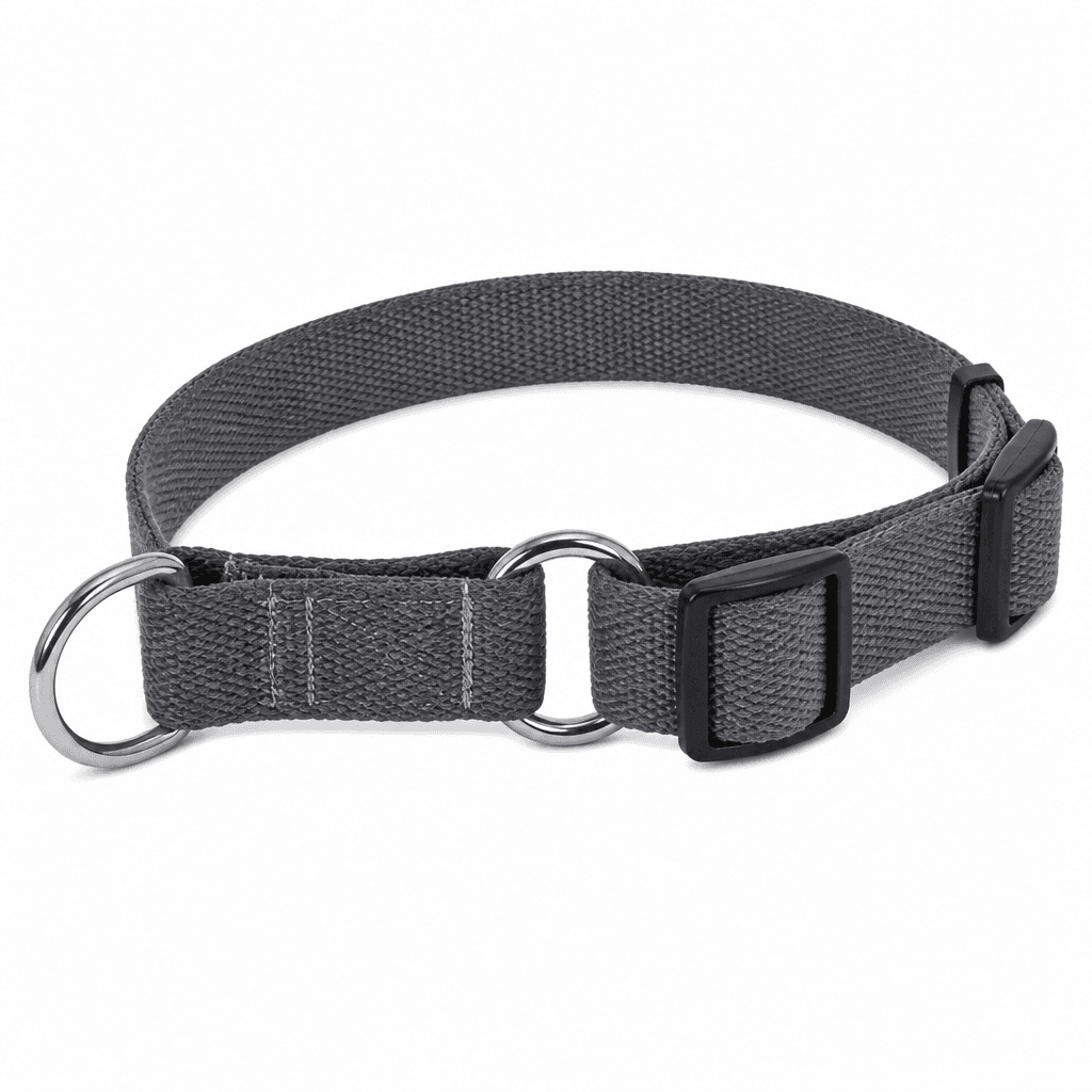 Martingale Training Collar