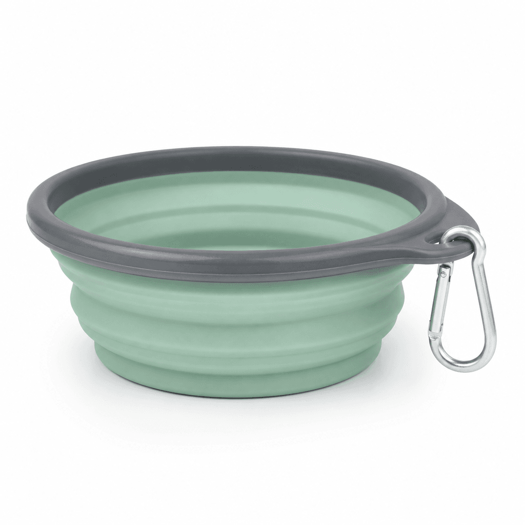 Travel Collapsible Bowl